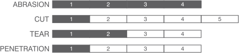 NX304 Bar
